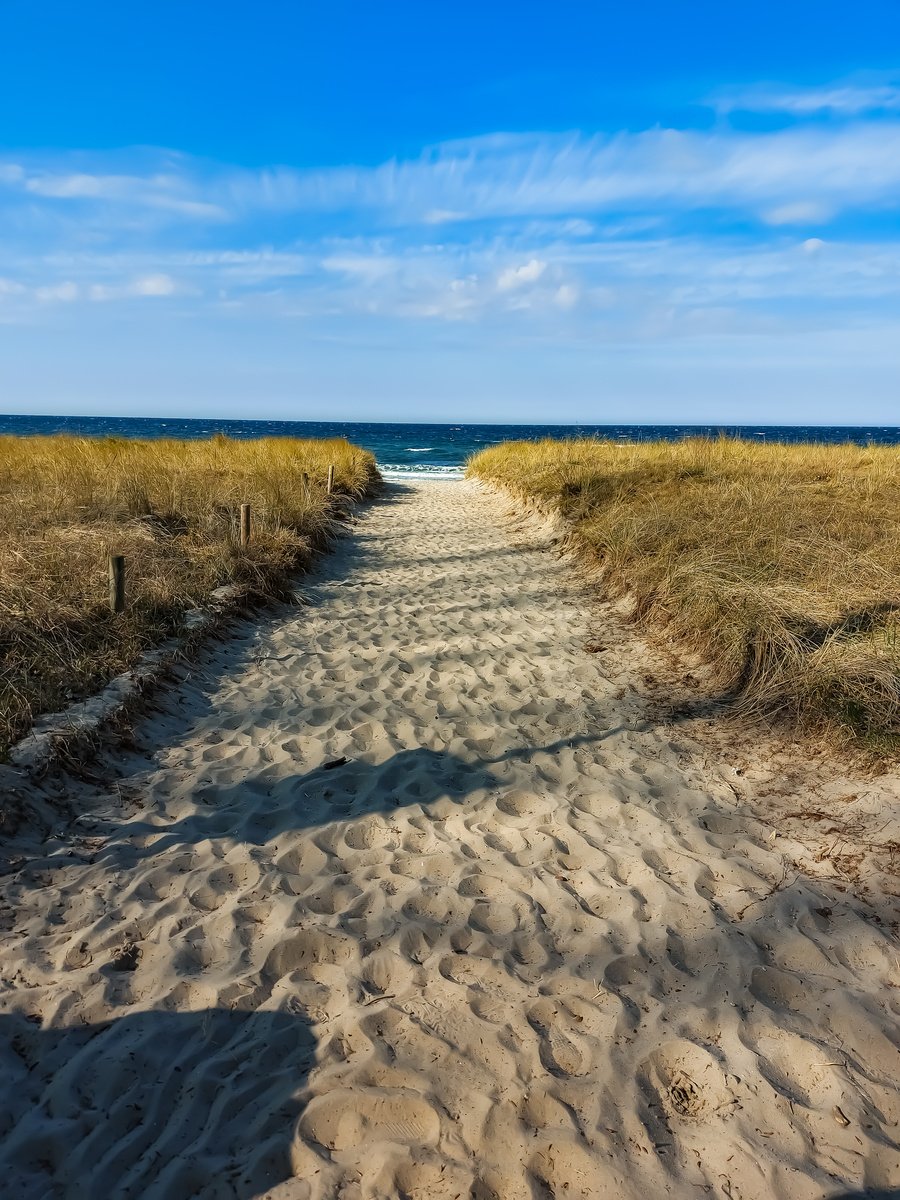 a sand path with sea grass on either side, leading towards the ocean on a clear, sunny day. 